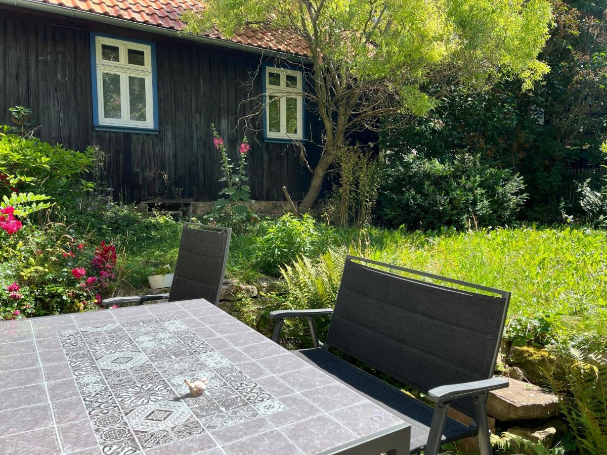 ブランケンブルク "Kleinstes Haus Von Blankenburg" Urlaub In Einem Einzigartigen Baudenkmalヴィラ エクステリア 写真